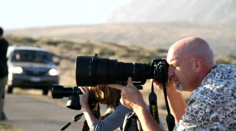 Nature Photographer Stock Footage