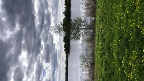 Nature pond river, the sky is covered with cloud clouds, environment Stock Footage 248522825