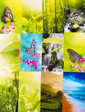 Nature postcard Stock Photos