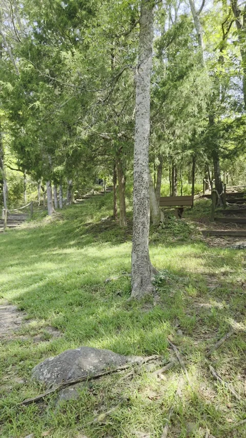 Nature Preserve ! Video stock 345682338