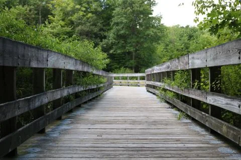 Nature Preserve. Wooded Walkway Stock Photos
