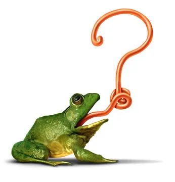 Nature Question 库存插图