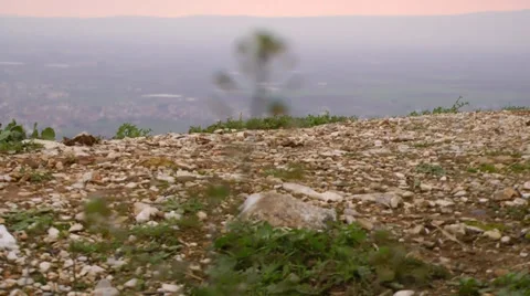 Nature rack focus Vídeos de archivo 35551667