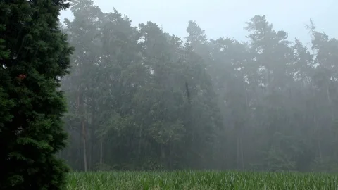 Nature || RAIN 07 Stock Footage 91853558