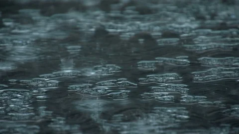 Nature || RAIN 10 Stock Footage