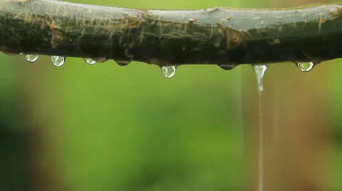 Nature rain drops 库存影片 27943741