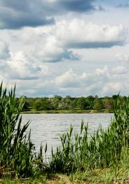Nature before the rain Foto stock
