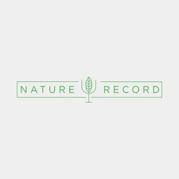 Nature record leaf studio line badge simple logo template vector illustration Illustrazione stock