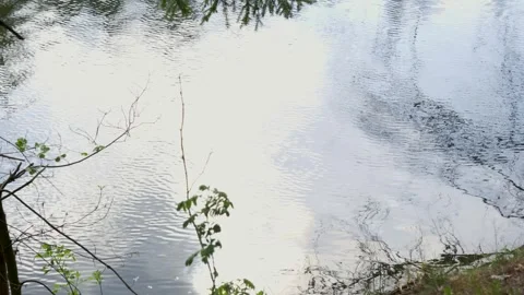 Nature Reflection And Serenity Concept, water surface, ripples 库存影片 334441609