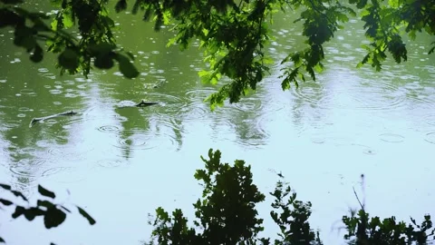 Nature reflection and serenity concept Stock Footage 336732452