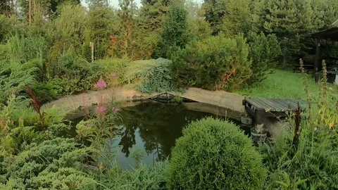 Nature reflection and small pond Vídeos de archivo 129335160