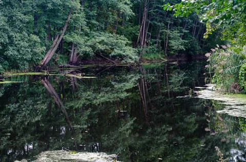 Nature in reflection Stock Photos