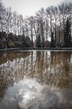 Nature Reflection Stock Photos