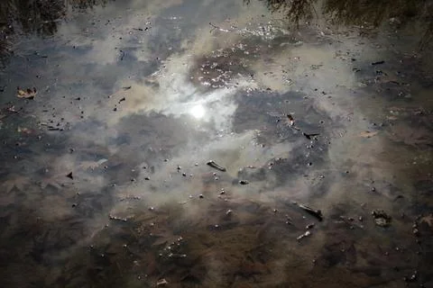 Nature Reflection Stock Photos