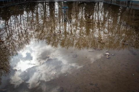 Nature Reflection Stock Photos