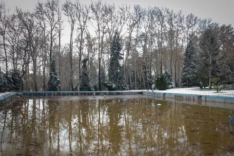 Nature Reflection Stock Photos