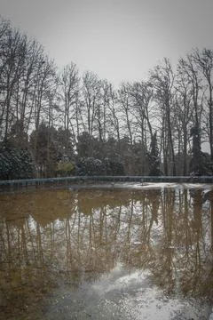 Nature Reflection Stock Photos