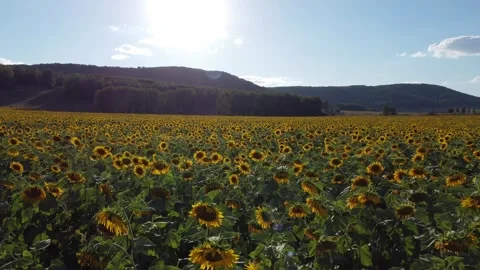 Nature of the Republic of Bashkortostan Video stock 250154275