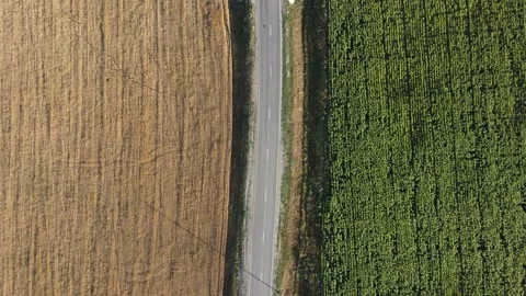 Nature of the Republic of Bashkortostan Video stock 250154560