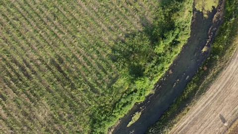 Nature of the Republic of Bashkortostan Stock Footage 250161634