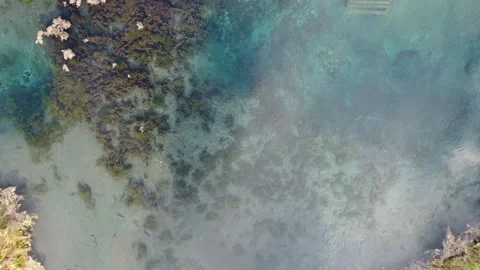 Nature of the Republic of Bashkortostan Stock Footage 250161636