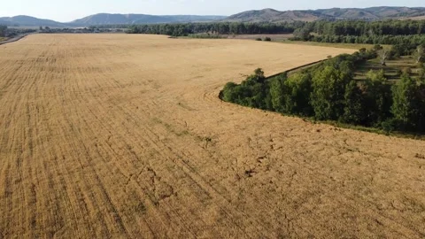 Nature of the Republic of Bashkortostan Stock Footage 250162935