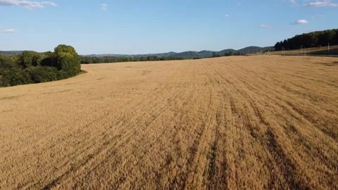 Nature of the Republic of Bashkortostan Stock Footage 250163676