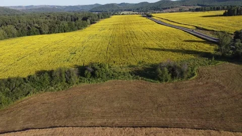 Nature of the Republic of Bashkortostan Stock Footage 250164448