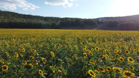 Nature of the Republic of Bashkortostan Stock Footage 250164509
