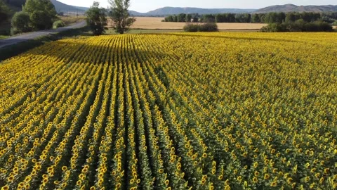 Nature of the Republic of Bashkortostan Stock Footage 250164510