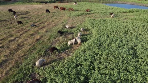 Nature of the Republic of Bashkortostan Stock Footage 250170674