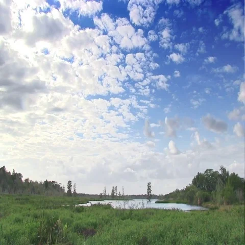 Nature reserve in Florida Stock Footage 69551145