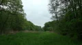 Nature reserve with flying crows in summer at a cloudy day HD Footage