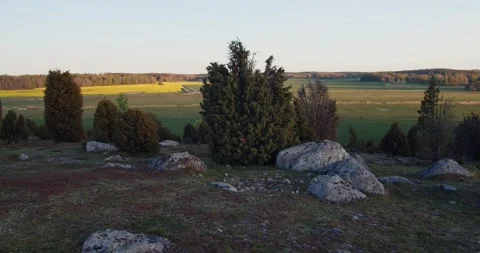 Nature Reserve With Rape Seed Fields Stock Footage 168820191