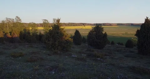 Nature Reserve With Rape Seed Fields Stock Footage 168820195
