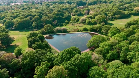 Nature Reserve Triangular Pond Low Angle Aerial Drone Panning Around Stock Footage 308400398