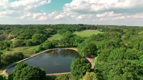 Nature Reserve With Triangular Pond Low Angle Drone Fly Through Stock Footage 308400481