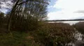 Nature Reserve Viehmoor in early spring HD Footage