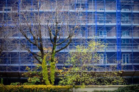 Nature resists Stock Photos