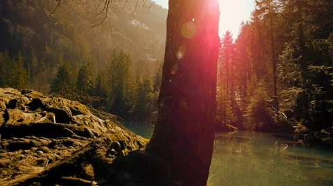 Nature resort background Video stock 37134923