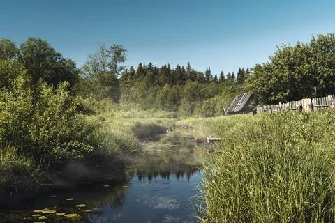 Nature, river and forest - rustic landscape Stock Photos