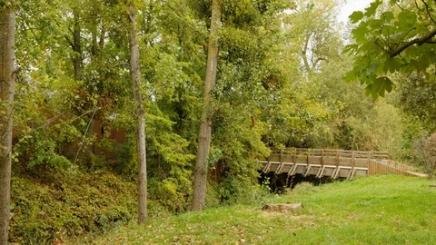 Nature river and trees time lapse in palaiseau france near paris Stock Footage 121924888