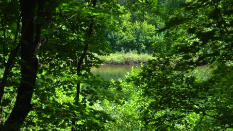 Nature - The river flows in the distance. You can see it through the window in t Stock Footage 157974904