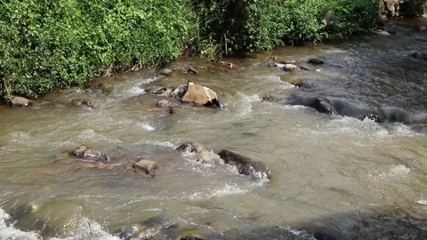 Nature River Stock Footage 283451637