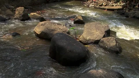 Nature River Stock Footage 283456248