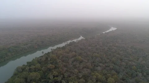 Nature river forest mist clouds in africa aerial drone Stock Footage 98045445