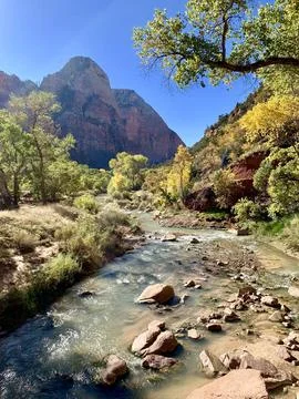 Nature river forest mountains exploring colors of nature autumn nature zion.. Stock Photos