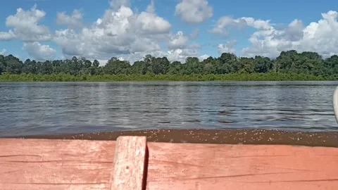 Nature River in Indonesia Stock Footage 208588338
