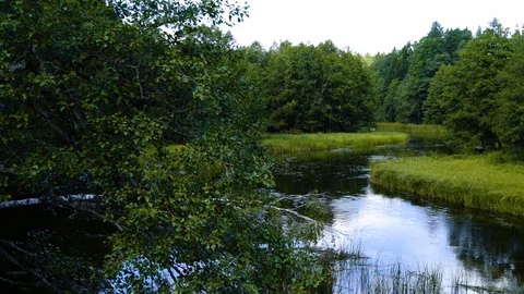Nature - river perspective panorama Video stock 94432010
