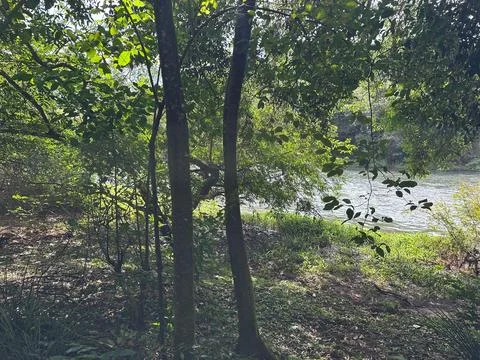 Nature by the River Stock Photos